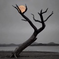 月白 - 你像我见过的那个少年