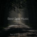 Best Spa Music