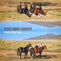 Swamp Guys Band - Texas Ranger