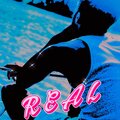 Mamba - REAL (Explicit)