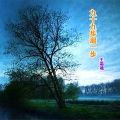 王温迪 - 九十九步退一步