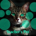 Seeped - Teacher's Pet