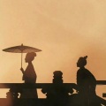 小盒纸酱 - 不惜时光