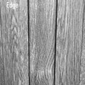 MESTA NET - Edge