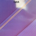 MESTA NET - Catch (Explicit)