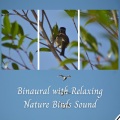 Binaural Boy、Eastern Zen、Baby Sleep Conservatory - Binaural with Relaxing Nature Birds Sound - 2 Hours