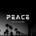 Nainsy、Pavar Sunil Choudhary - Peace