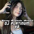 Anang Ardinata Project - DJ PLATINUM V2 (INS)