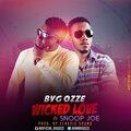 Bvg mills - Wicked Love