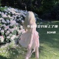 BGM迷 - 不知不觉我爱上了她 (BGM)