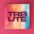 Soundsmusic、Machan、Bharathan、VKDKV、ThirumaLi - Tribute (feat. MACHAN BHARATHAN VKDKV & THIRUMALI)(Radio Edit)
