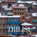 Davit Barqaia - Tbilisi