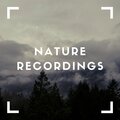 Natural Sample Makers、Natural Sound Makers、Nature Recordings - Overcast Rain (Nature)