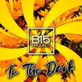 B15 Project - In The Dark