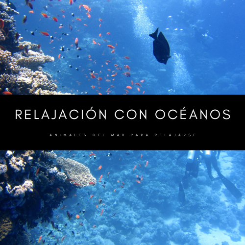 Relajacion Del Mar、Agua del Mar、Paz Sounds - Relajación en Ibiza