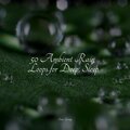 50 Ambient Rain Loops for Deep, Sleep