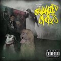 Realness (feat. Vigilant & Beetone) [Explicit]