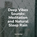 Deep Vibes Sounds: Meditation and Natural Sleep Rain