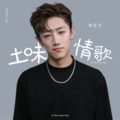 张宏宇 - 土味情歌
