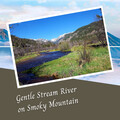 Relaxing Sounds of Nature、Calming Beats、Relaxing Piano Music - Gentle Stream River on Smoky Mountain - 3 Hours