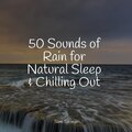 50 Sounds of Rain for Natural Sleep & Chilling Out