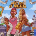 Want Not A Need (Explicit)