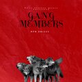 RPM_Drizzy - Gang Members (Explicit)