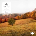 Grrey - Private Jet