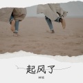 Y拉冠 - 起风了