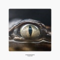 Dennul - YYYYYYYYYYYYYY002
