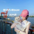 BGM迷 - 科目三