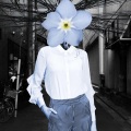 takahiro(FKS)、takahiro sato - Myosotis