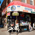 danny k - Bobby Bodega