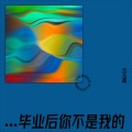王玉鑫 - 毕业后你不是我的