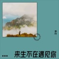 李玲 - 我不是你爱的人