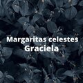 Graciela - Margaritas Celestes