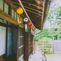 BCD studio、Natsuki - 夏日风铃