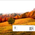 明天 - 不再犹豫