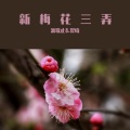 小小小格子 - 新梅花三弄