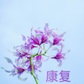 瞑想 & 瞑想、歐陽謙、Medicina Relaxante - Car Passing By