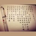 石燕鹏 - 当你老了