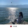 华语群星、圈妹、虞姬、Dj 拉芳 - 顶尖旋律