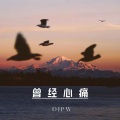 曾经心痛 (纯音乐DJPW版)