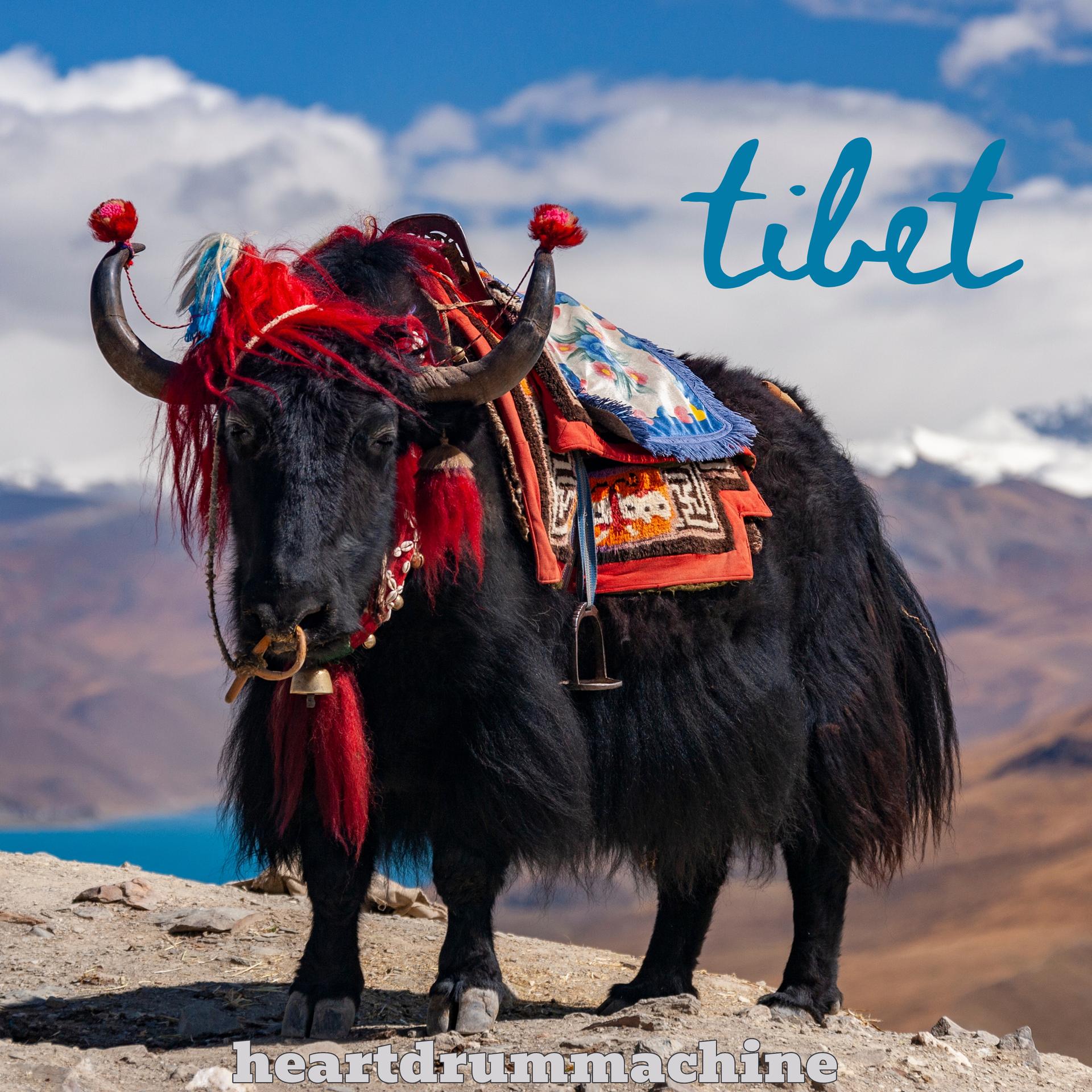 HeartDrumMachine - Tibet