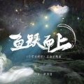小陈正在启航 - 鱼跃而上