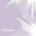 KAMOO - Examples