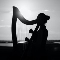Lionel - Harp Jam
