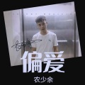 农少余 - 偏爱