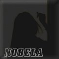 Don Budik - Nobela