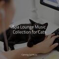 RelaxMyCat、Cat Music Dreams、Pet Care Music Therapy - Karma Flows